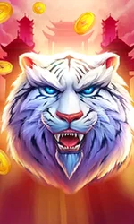 Luck of Tiger